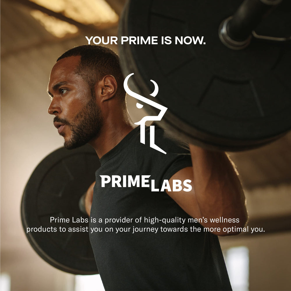 Prime Labs Prime Test ingredients list highlights key botanicals.