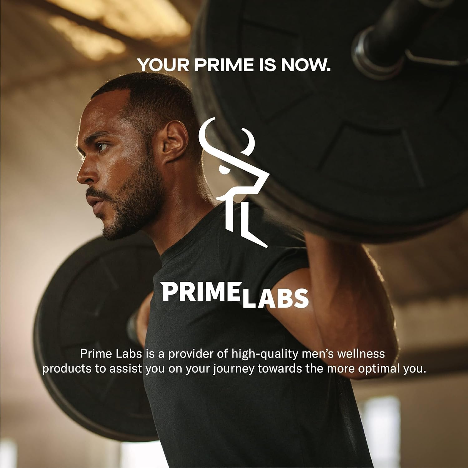 Prime Labs third-party testing seal for purity and potency
