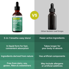 PrimeMD Mullein Drops ingredients list showing organic mullein and ginger.
