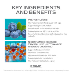 Prime NADPlus packaging on display suggesting convenient, once-daily supplementation