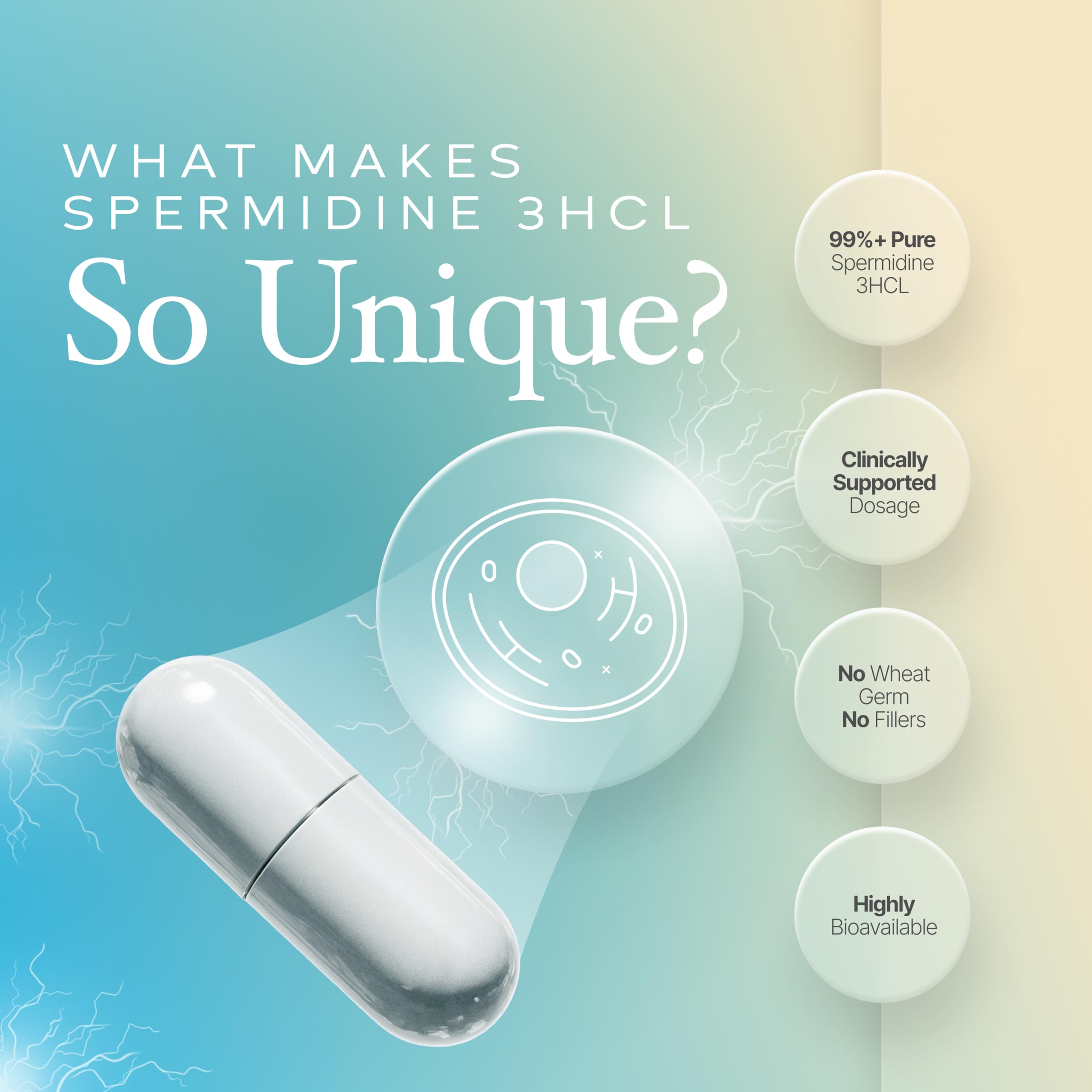 Prime Powders Spermidine capsules label shows 99% purity.