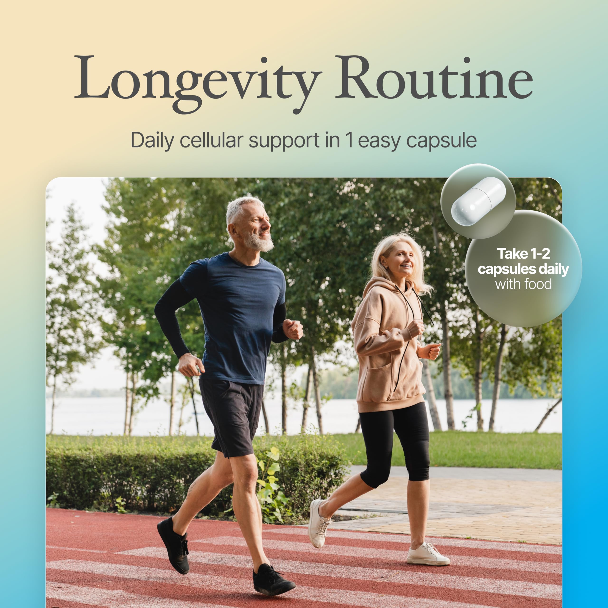Prime Powders Spermidine gluten-free seal signals allergy-friendly option.