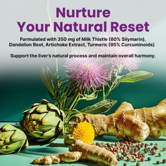 PrimeMD 22in1 vegan capsules arranged for a six week supply.