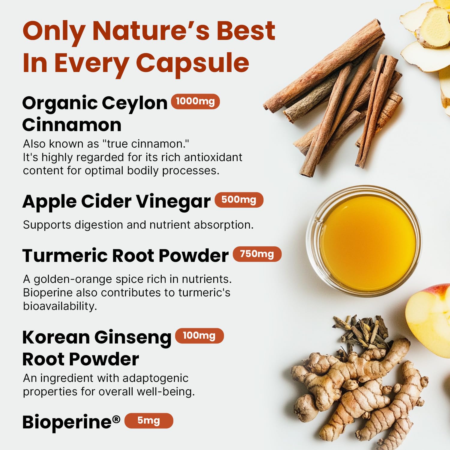 PrimeMD apple cider vinegar capsules suggest digestive-friendly daily use