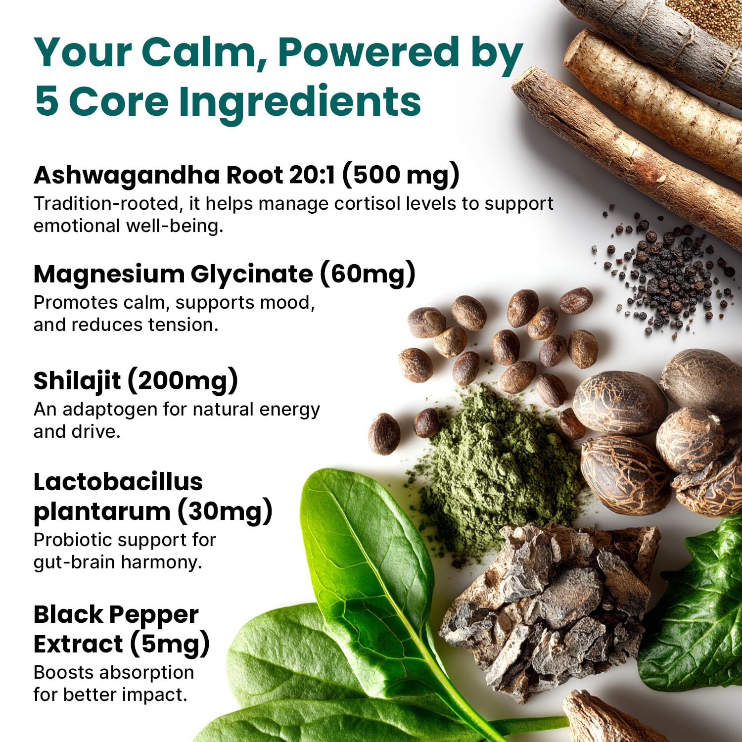 PrimeMD magnesium glycinate capsules for calm daily energy.