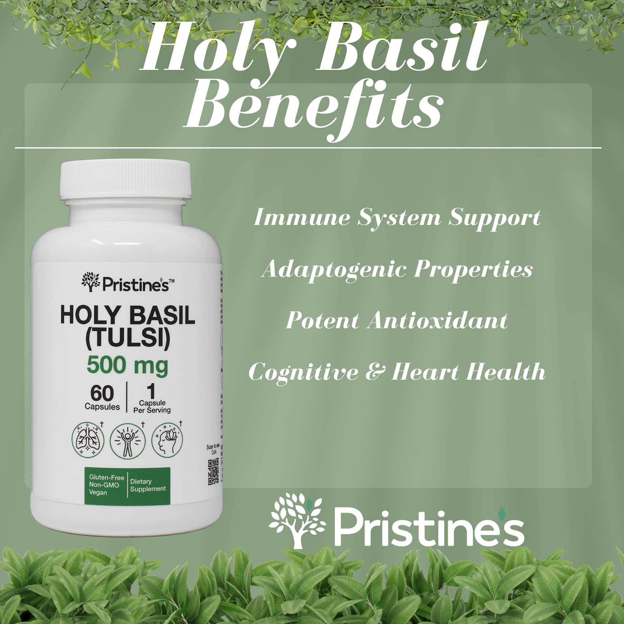 Closeup of PRISTINE'S Holy Basil Tulsi capsules for daily balance