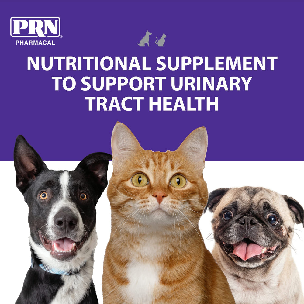 PRN CranMate pork-flavored chew tabs ready for easy pet administration.