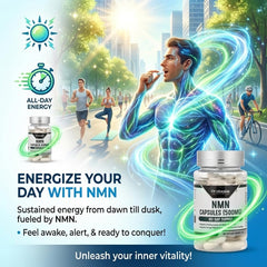 Probase NMN info panel featuring dosage and supplement facts