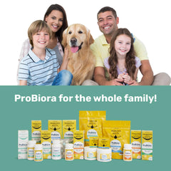 ProBiora Gum health highlight shows targeted mouth probiotic action