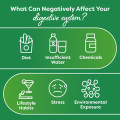 Probulin Colon Support daily dosage shown with one capsule for convenient use