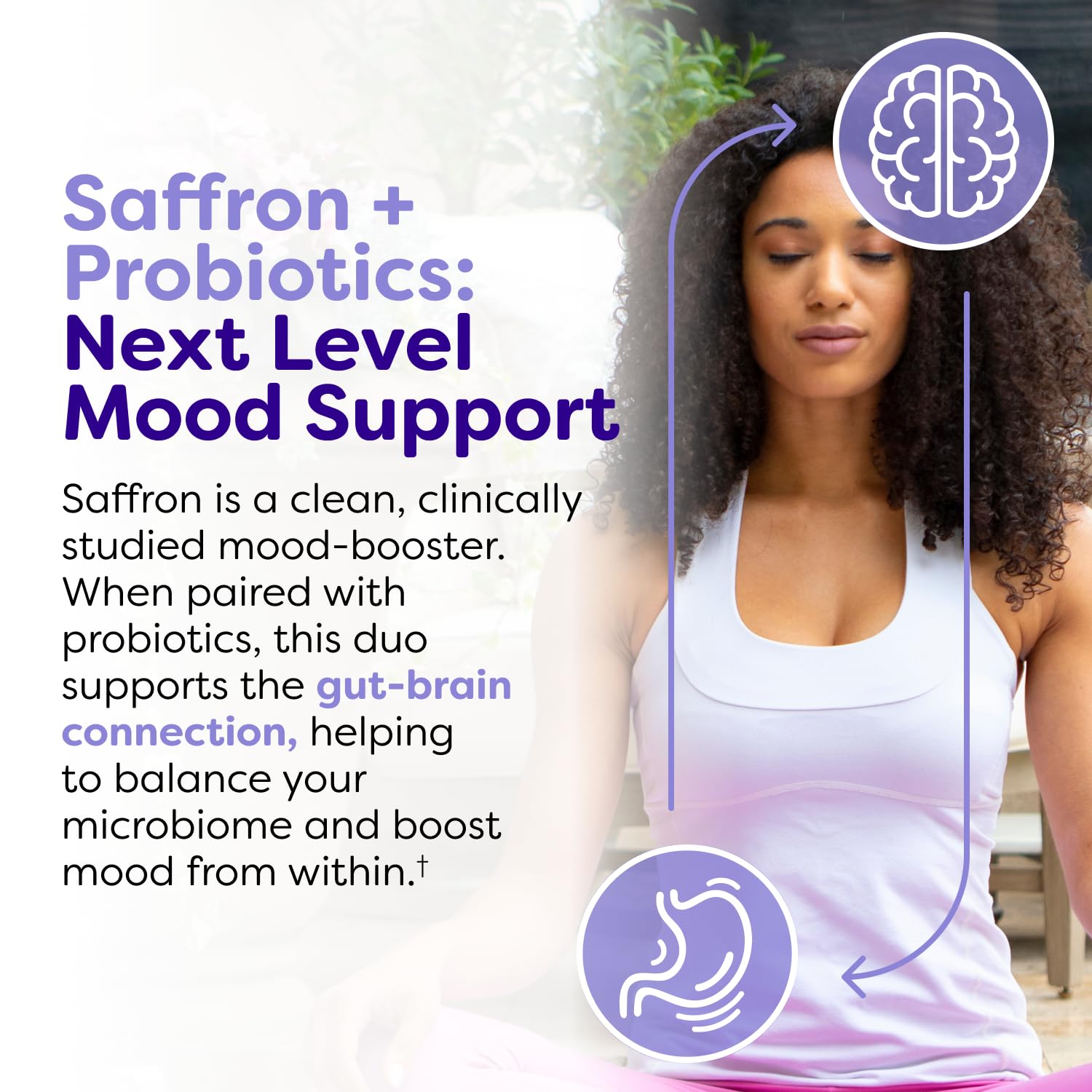 Probulin Mood Probiotics saffron and L-Theanine ingredients highlight