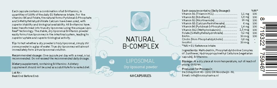 Close-up of Procapsin B Complex capsule for daily nutrient support.