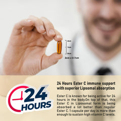 Procapsin Liposomal Ester capsules close-up emphasizing gentle, stomach-friendly formula