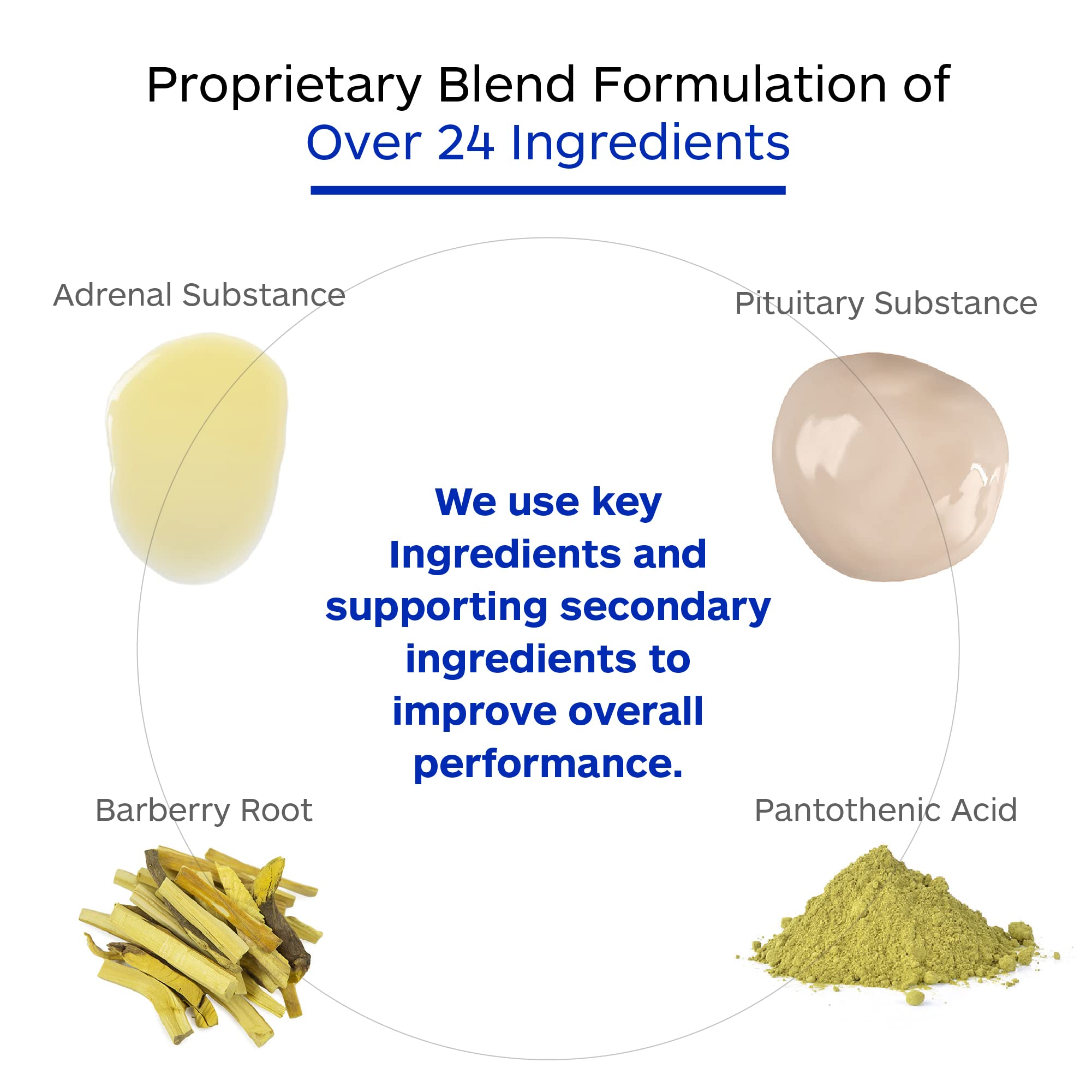 Professional Botanicals Adrenal Complex packaging display conveying trusted professional-grade quality.
