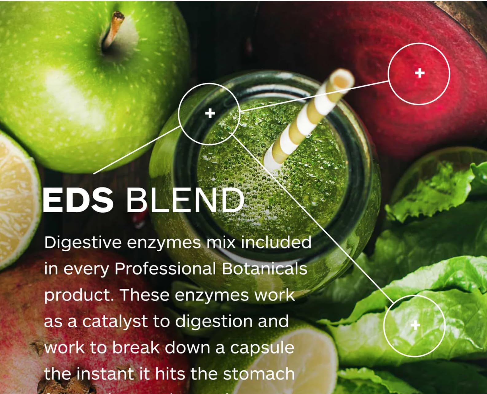 Professional Botanicals EDS enzymes enhancing nutrient absorption
