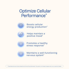 ProHealth Longevity B-Complex capsules close-up, compact and easy to swallow