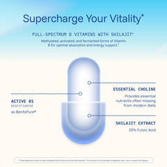 ProHealth Longevity B-Complex shilajit detail emphasizing fulvic acid component