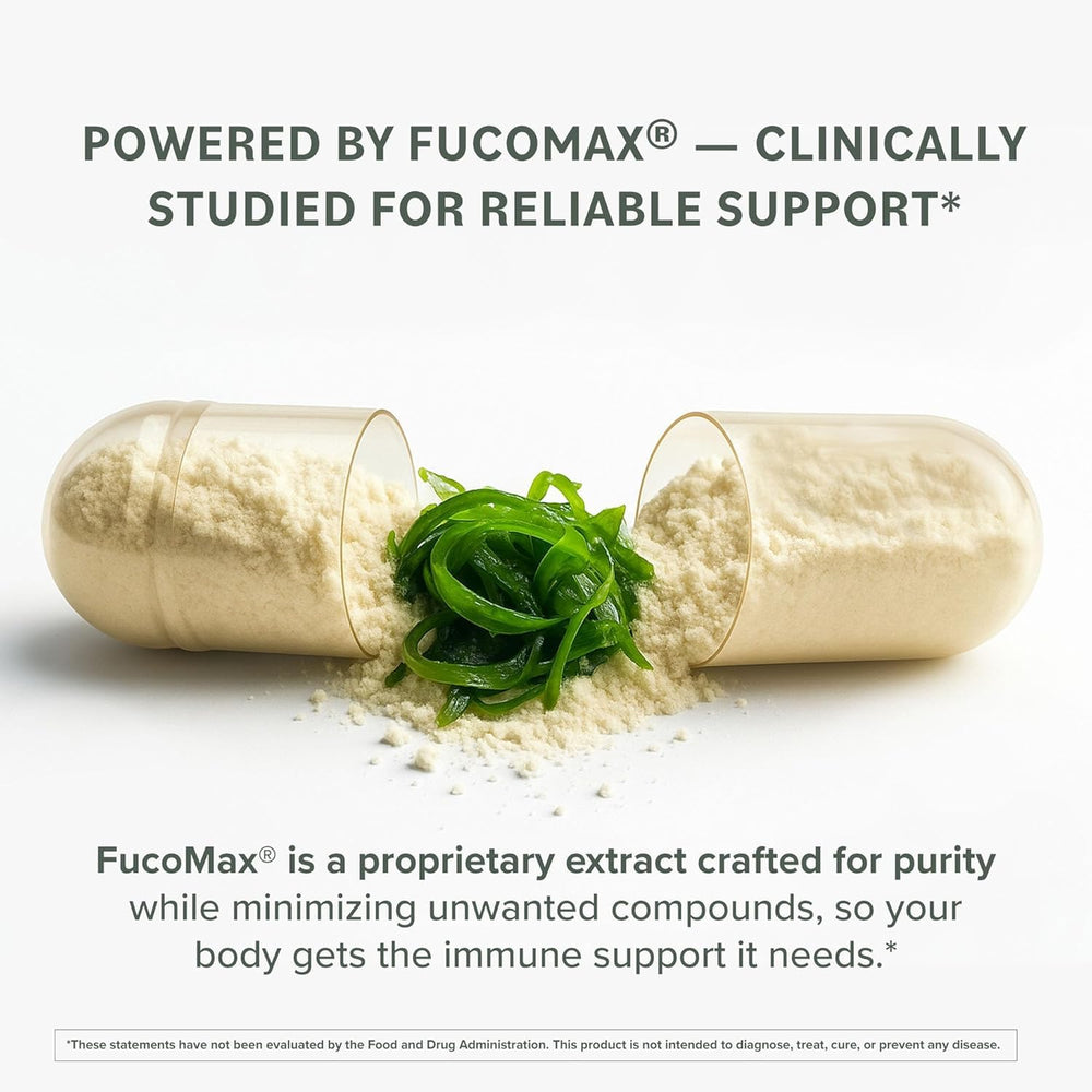 Prominent Nutrition Fucoidan brown seaweed extraction process image supporting quality and sourcing for digestion support.