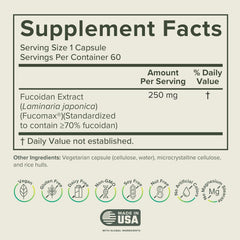 Prominent Nutrition Fucoidan capsules close-up highlighting vegan, non-GMO daily wellness support.