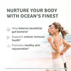 Prominent Nutrition Fucoidan label close-up showing premium brown seaweed extract for digestion support.