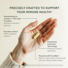 Prominent Nutrition Fucoidan third-party testing lab analysis ensures purity and potency.