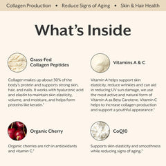 ProMix Nutrition Collagen Beauty Elixir beta carotene highlights vitamin A content