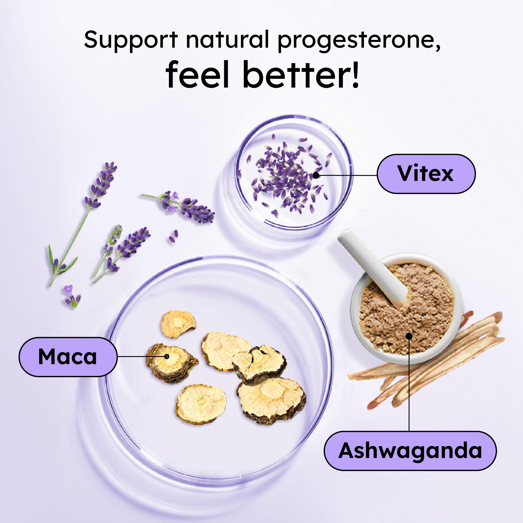 Ashwagandha and Maca roots featured for natural adaptogenic balance.