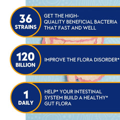 Proriginal probiotics 36-strains label highlights diverse strains for gut balance.
