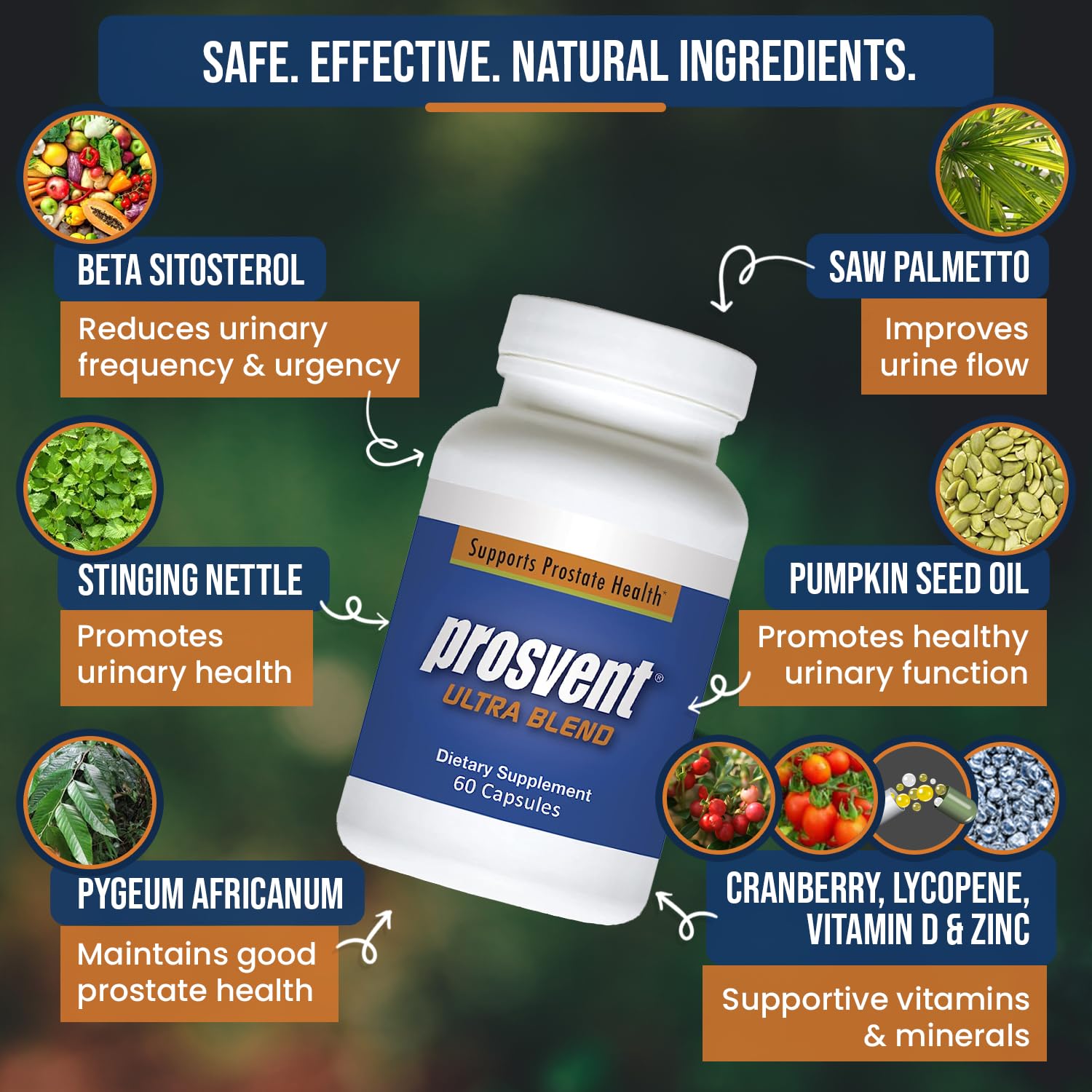 Prosvent cranberry ingredient illustration supporting antioxidant prostate health.