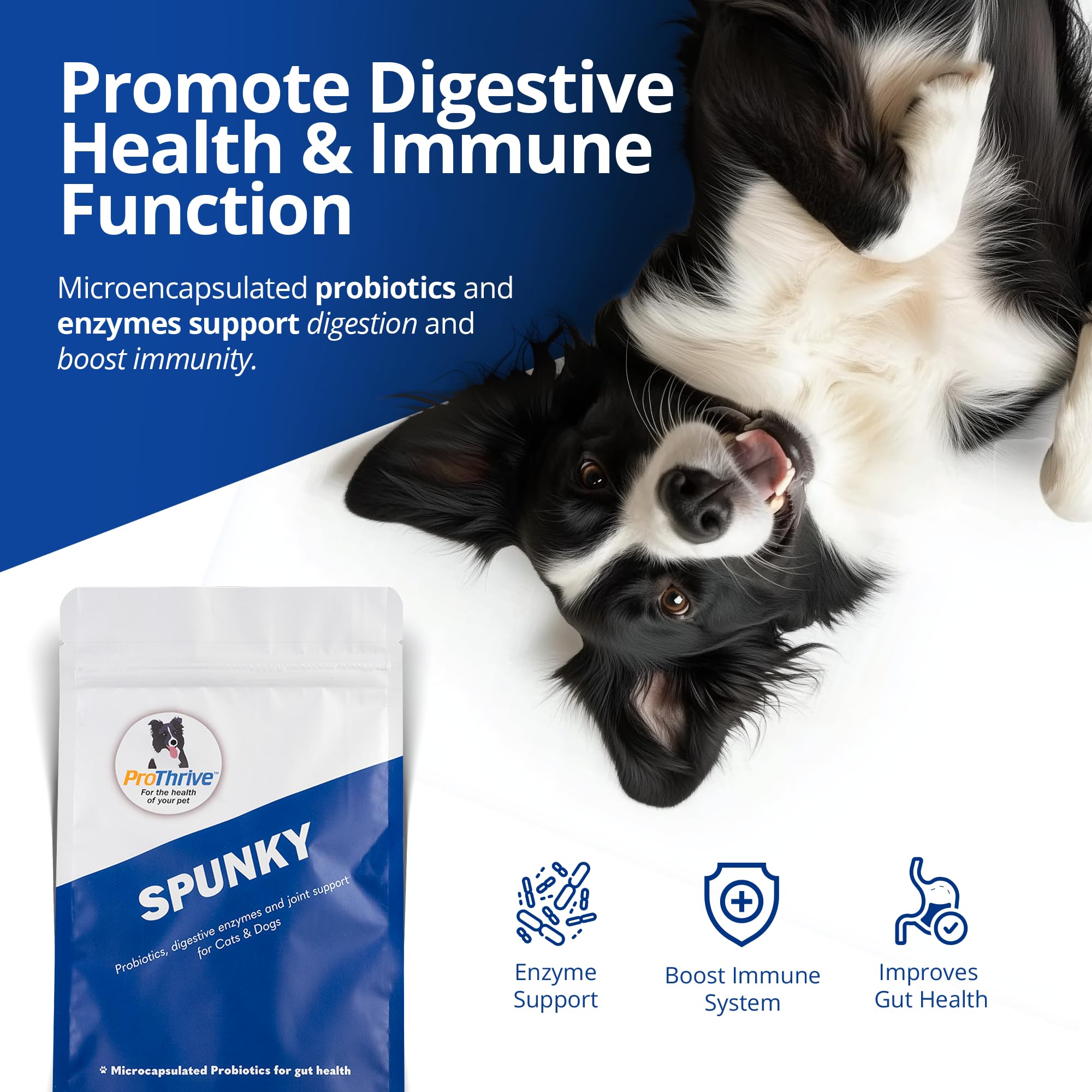ProThrive Spunky Digestive Supplement dog serving, easy addition to meals.