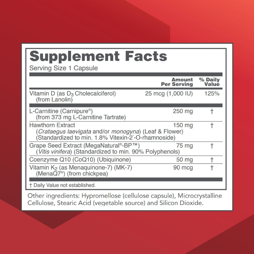 Closeup of PROTOCOL FOR LIFE BALANCE Clinical Cardio-6 capsules for daily cardio support.