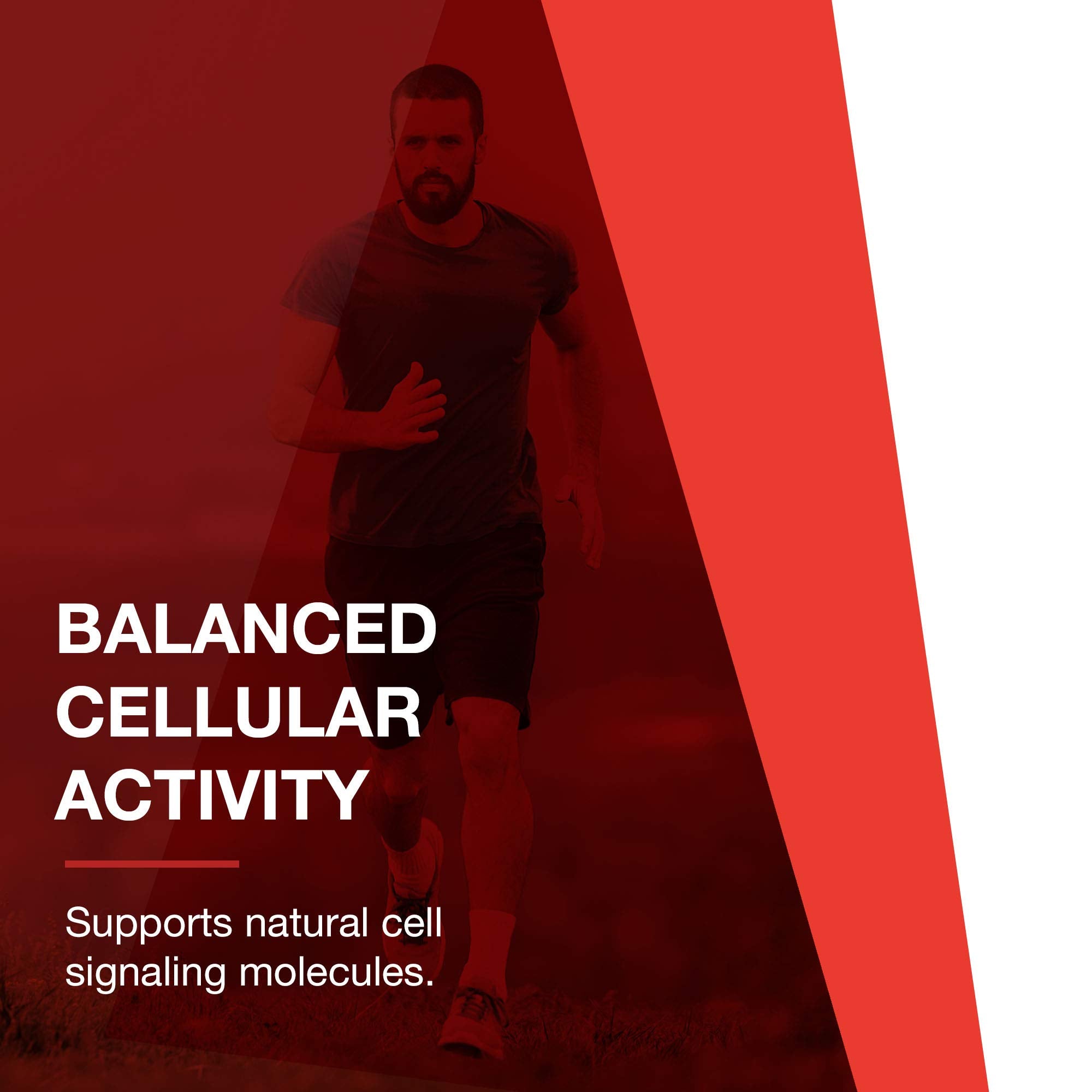 Protocol For Life Balance D-Flame holy basil extract panel showcases calming botanical support