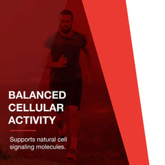 Protocol For Life Balance D-Flame holy basil extract panel showcases calming botanical support