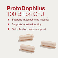 ProtoDophilus bottle with glass of water suggests easy daily intake