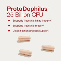 Detox support from ProtoDophilus aiding the body's natural cleansing processes.