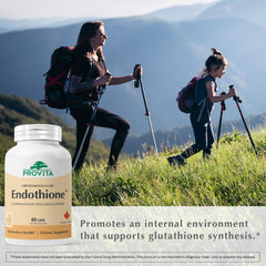 PROVITA Endothione probiotic Lactobacillus fermentum supports gut-associated glutathione synthesis