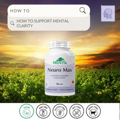 PROVITA Neuro Max capsules close up highlighting vegan capsules and clarity potential.