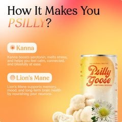 Psilly Goose kanna and lion's mane ingredients graphic signaling plant-powered mood lift.