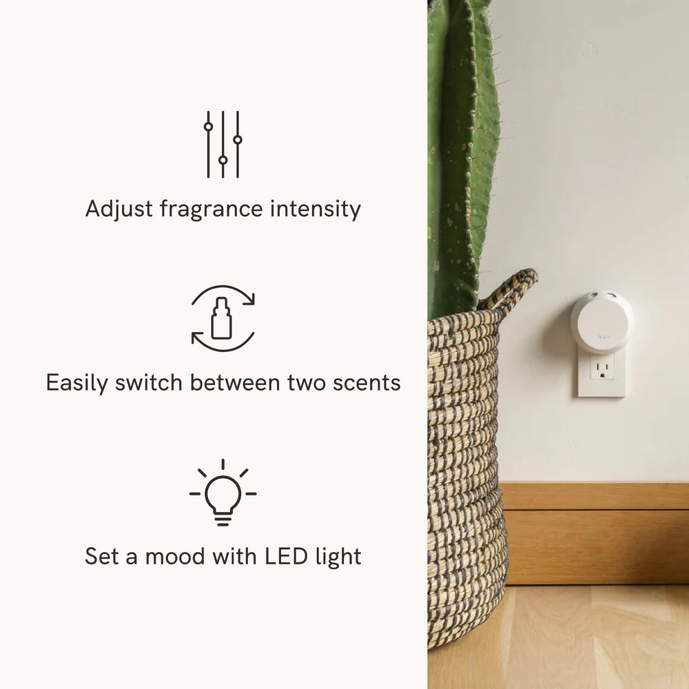Lavender Fields refill offers calming home scent
