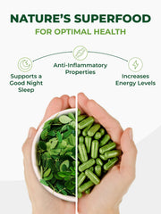 Pura Vida Moringa daily routine energy support