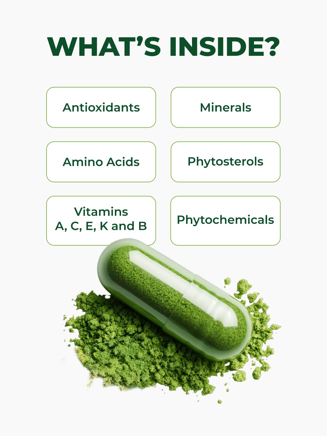 Pura Vida Moringa capsules hand peeled from fresh branches