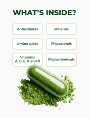 Pura Vida Moringa capsules hand peeled from fresh branches