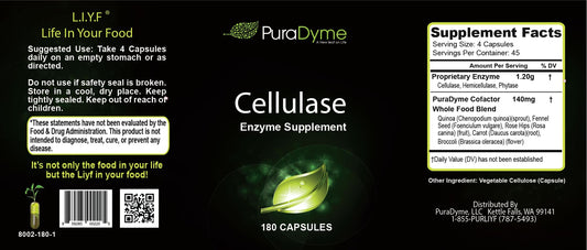 PuraDyme cellulase capsules close-up emphasizing gut health and plant fiber breakdown.