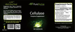PuraDyme cellulase capsules close-up emphasizing gut health and plant fiber breakdown.