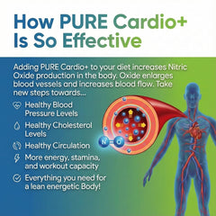 PURE Cardio+ CoQ10, magnesium, potassium graphic signals heart energy for performance.