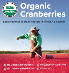 Pure Co Cranberry Pills packaging box reveals compact four-month supply for ongoing daily use.