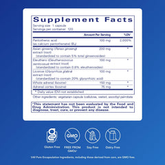 Pure Encapsulations ADR Formula capsule closeup illustrating hypoallergenic supplement.