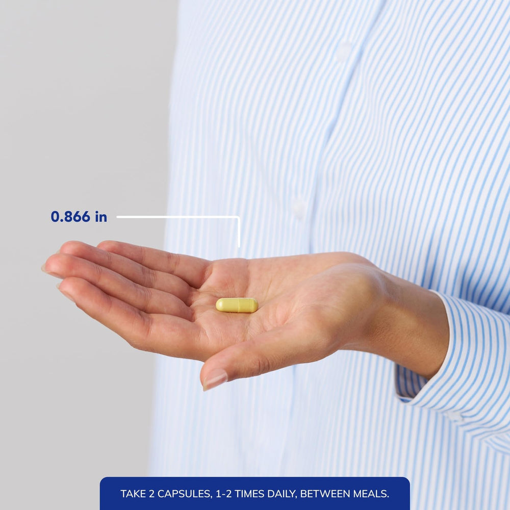 Th2 Modulator quercetin ingredient provides botanical support for immune comfort.