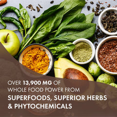 One N Only detailed ingredients emphasize whole foods and adaptogens