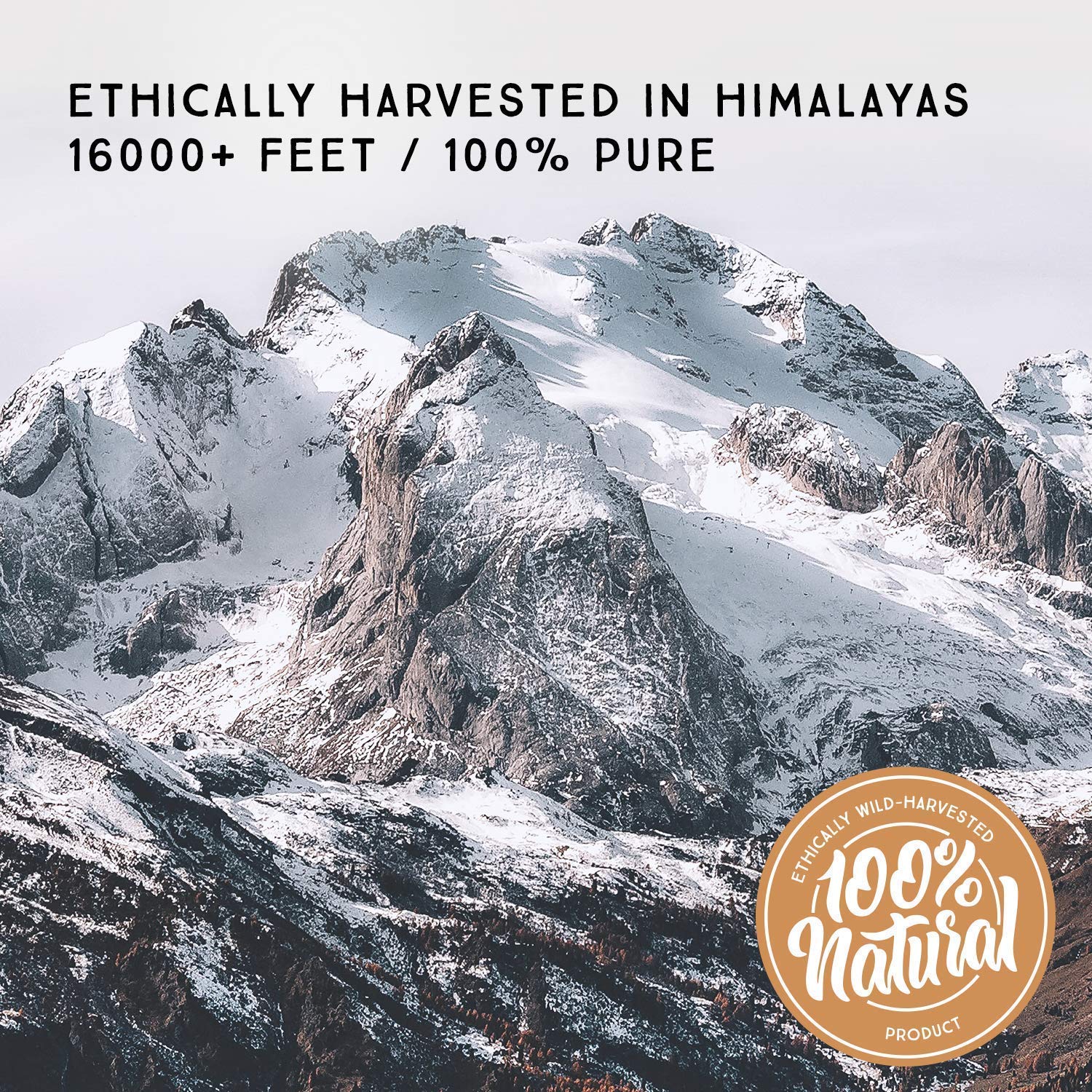 Pure Himalayan Shilajit authentic Ayurvedic extraction process illustrated with traditional tools.